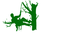 elagage-m-dassonneville